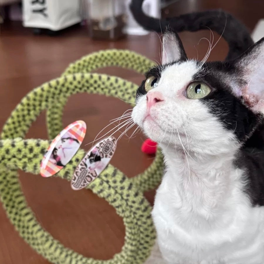 Custom Resin Acrylic Pet Hair Clip