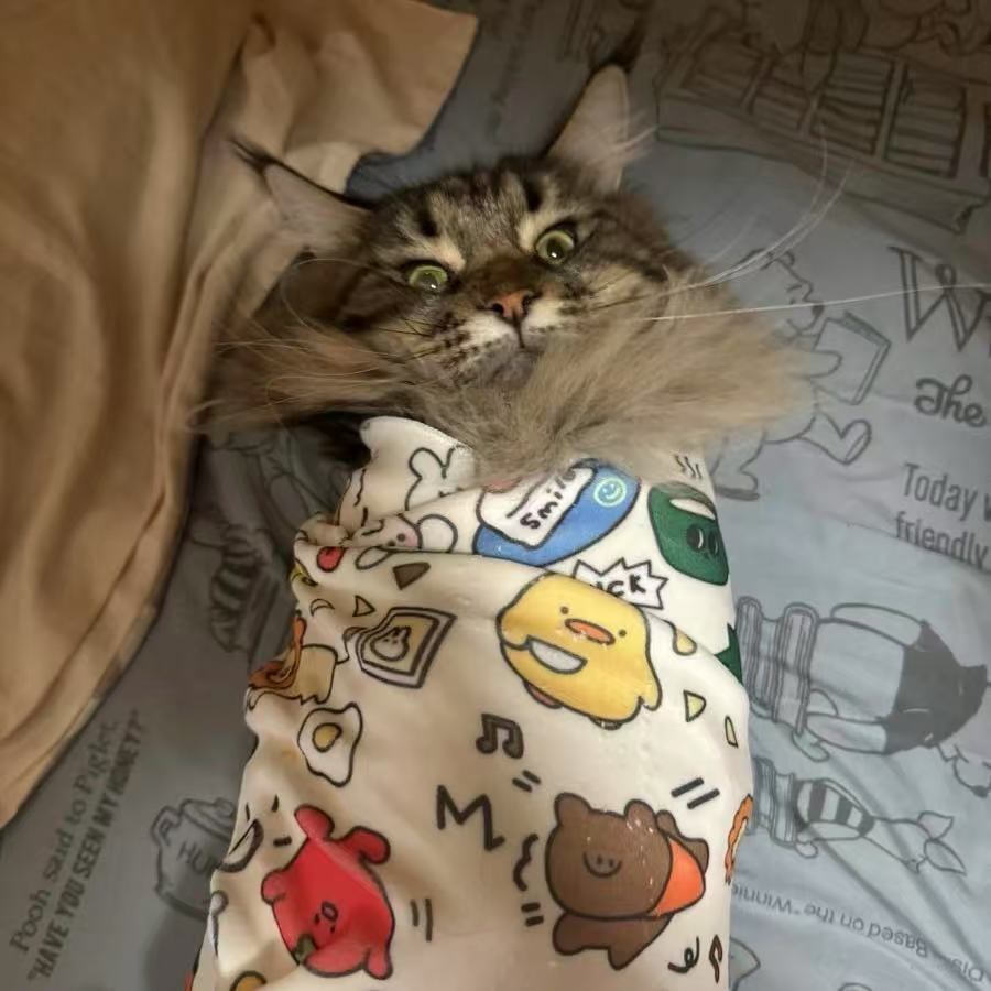 calm cat wrap, Calm & Cozy Cat Wrap, Self-Adherent Soft Cat Blanket to Wrap, Nail Clipping, Anti-Bite, Anti-Scratch, Anti-Escape Calming Wrap