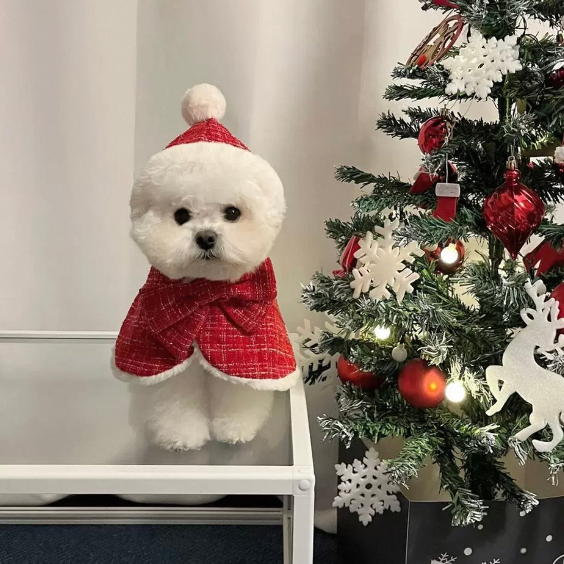 Christmas Cosplay Pet Clothes