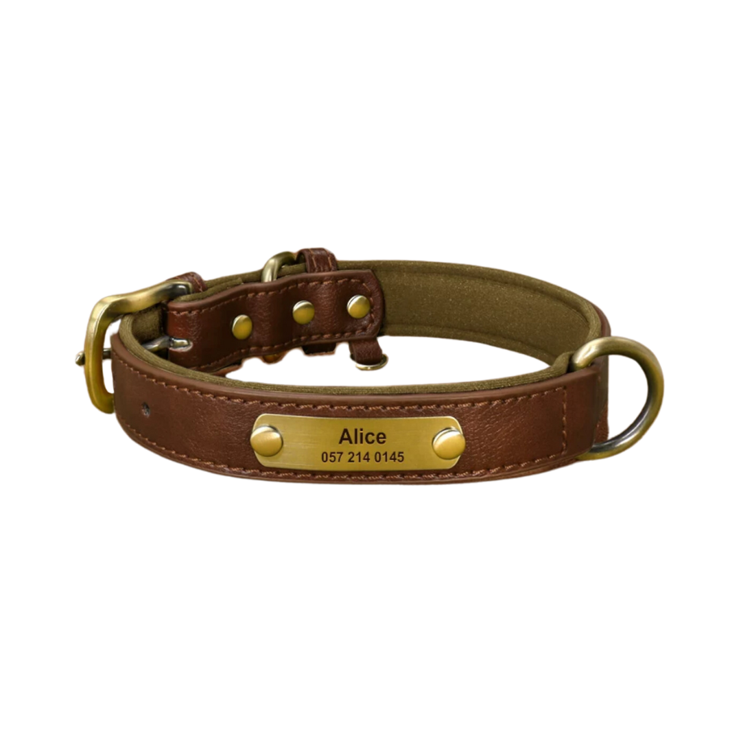 Custom_Pet_Collar