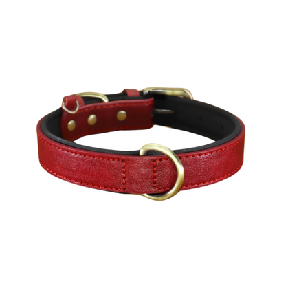 Custom_Pet_Collar