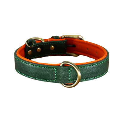 Custom_Pet_Collar