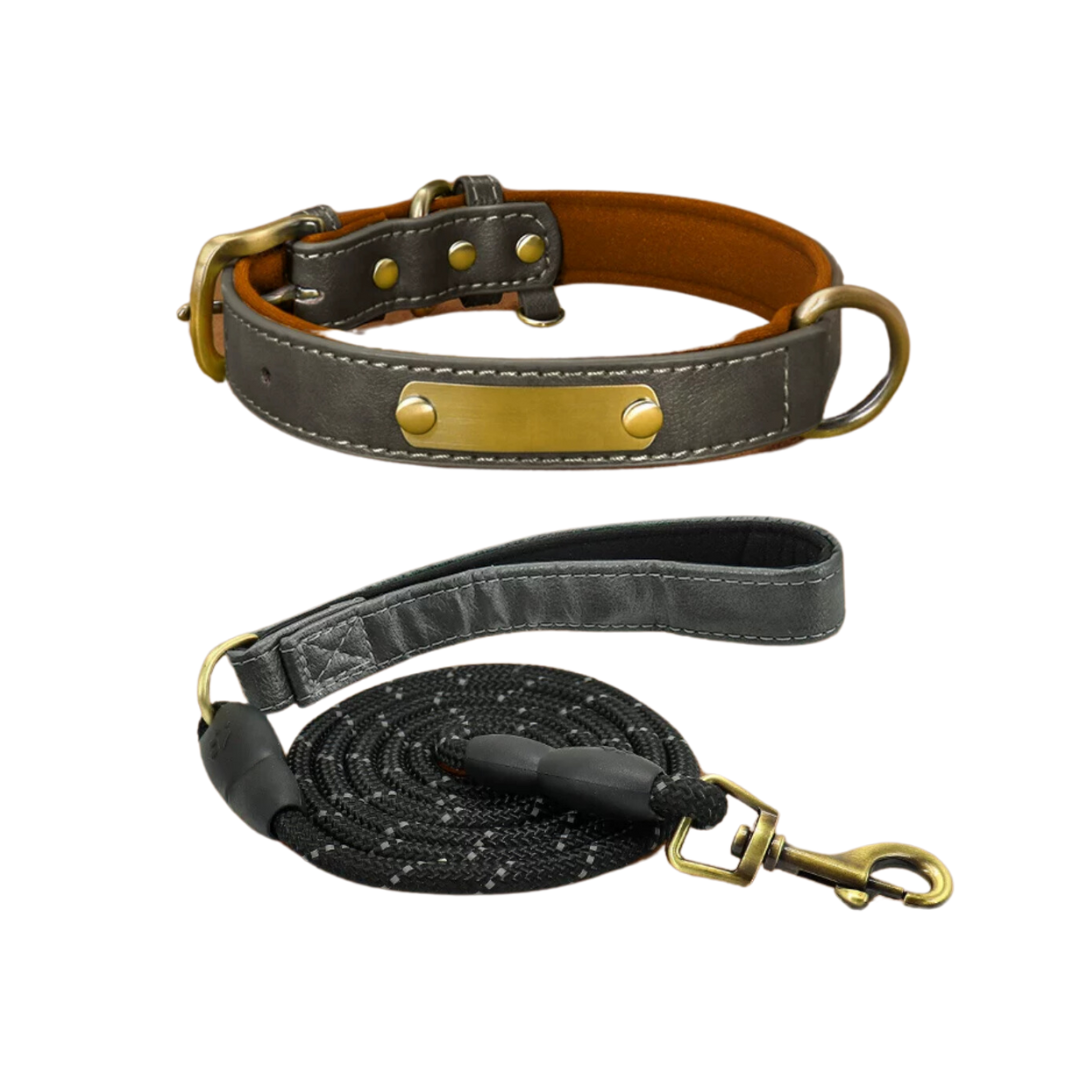 Custom_Pet_Collar