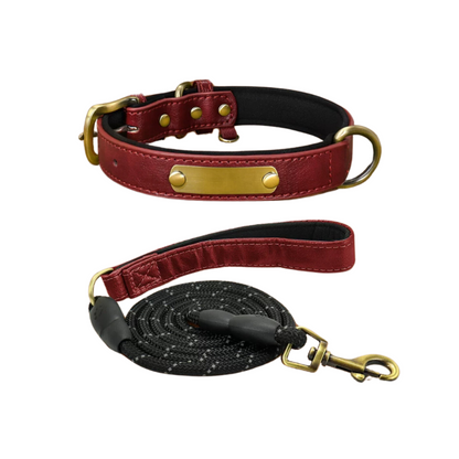 Custom_Pet_Collar