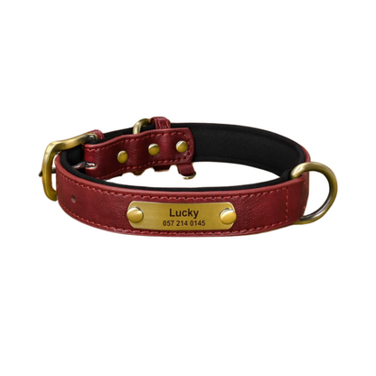 Custom_Pet_Collar