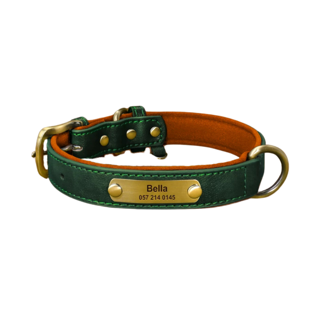 dog collar with name
custom dog collars
dog collars with name