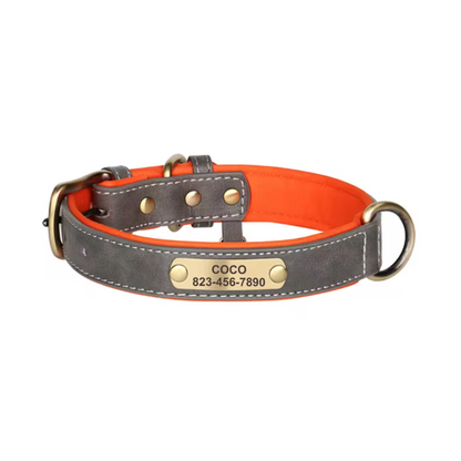 Custom_Pet_Collar