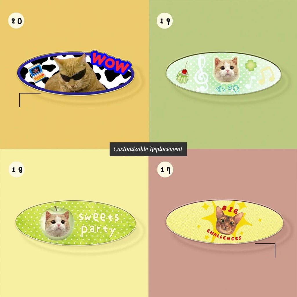 Custom Resin Acrylic Pet Hair Clip