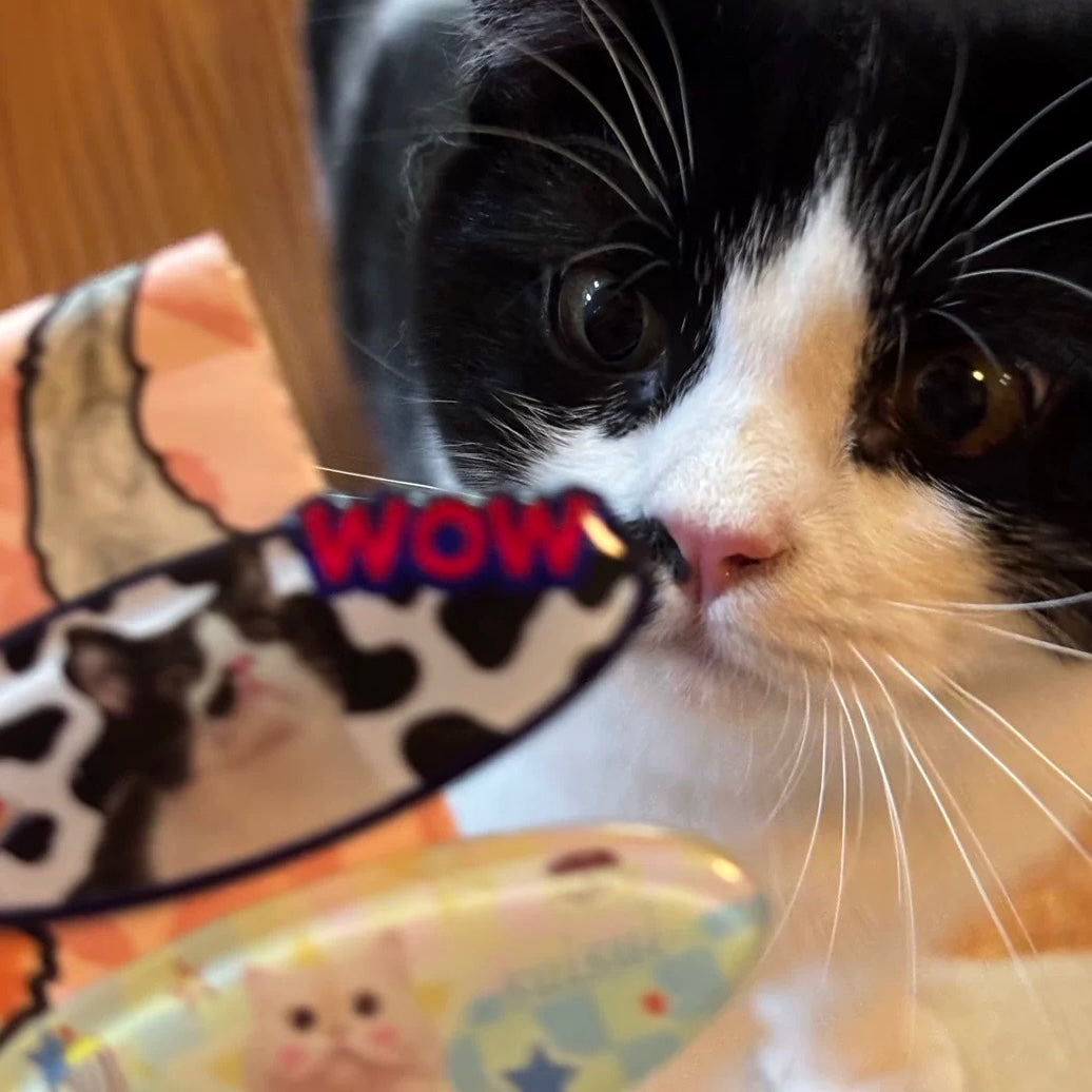 Custom Resin Acrylic Pet Hair Clip