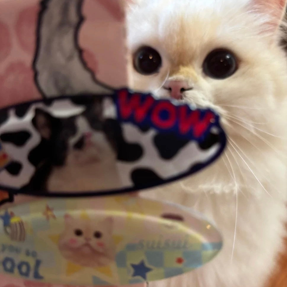 Custom Resin Acrylic Pet Hair Clip