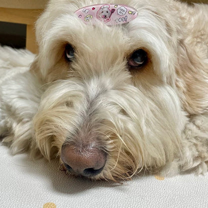 Custom Resin Acrylic Pet Hair Clip