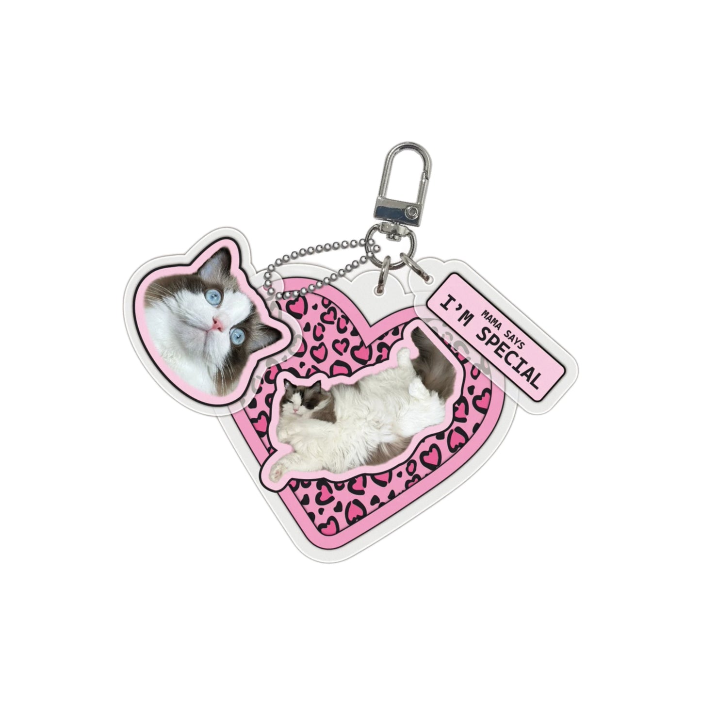 Custom Designed Acrylic Pet Keychain