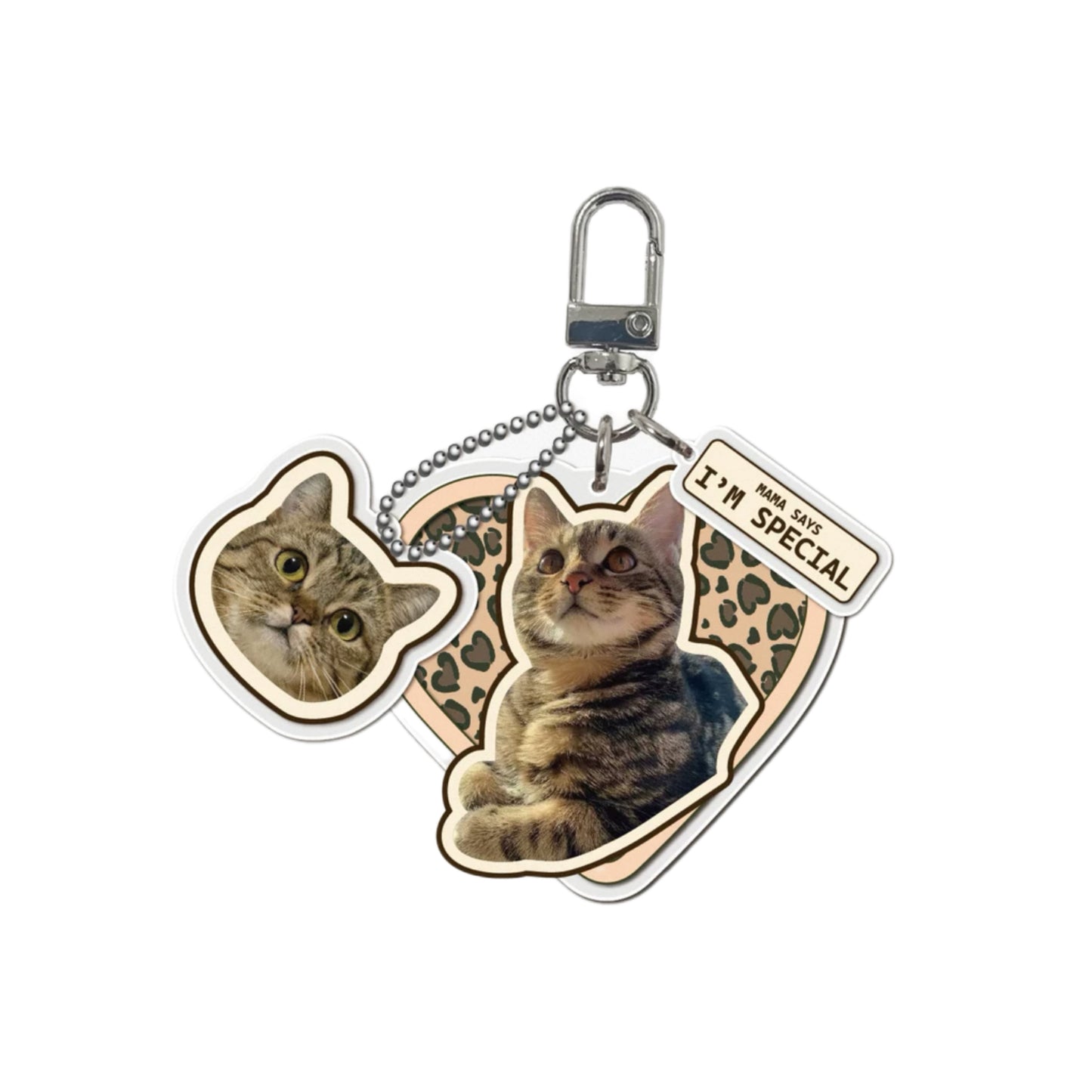 Custom Designed Acrylic Pet Keychain