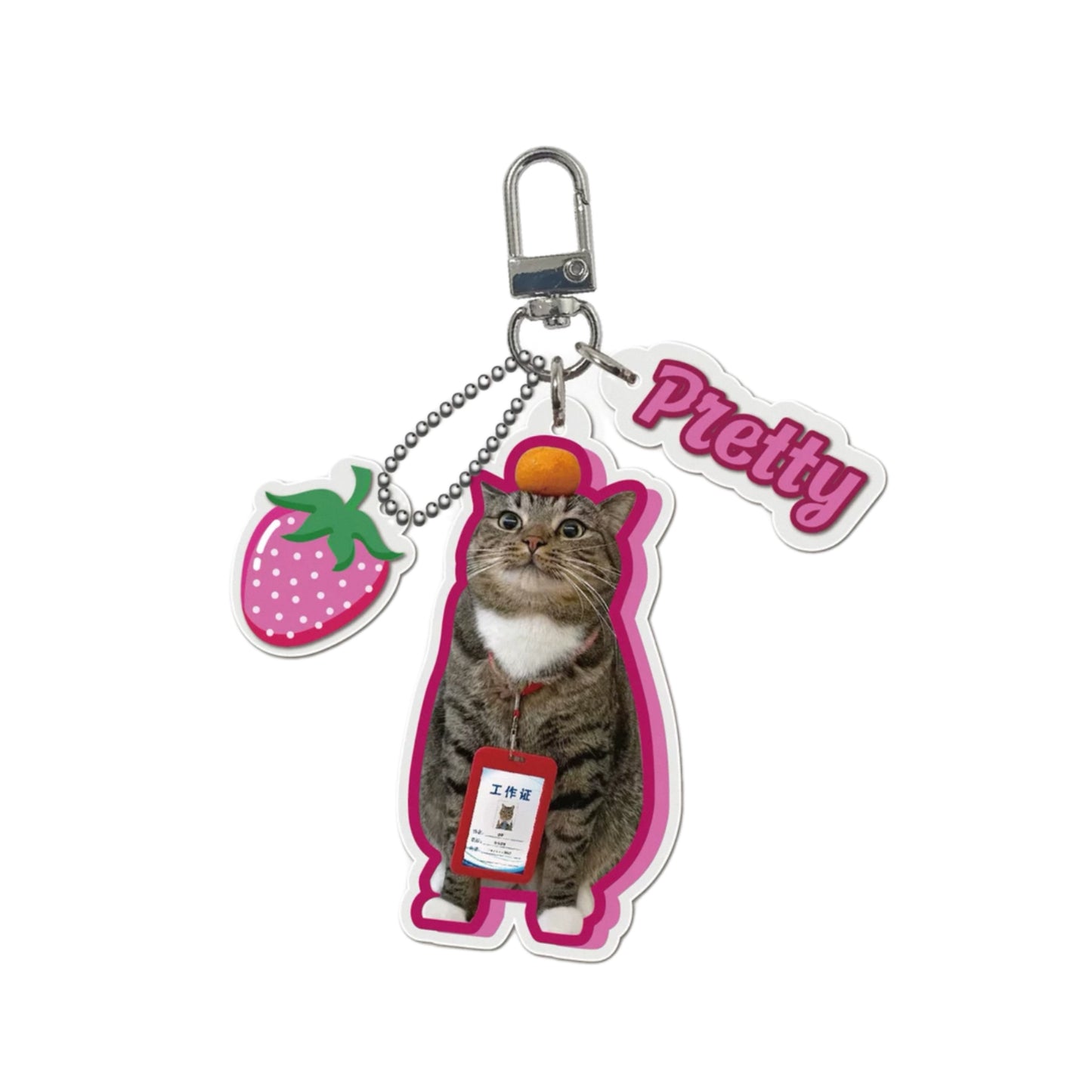 Custom Designed Acrylic Pet Keychain