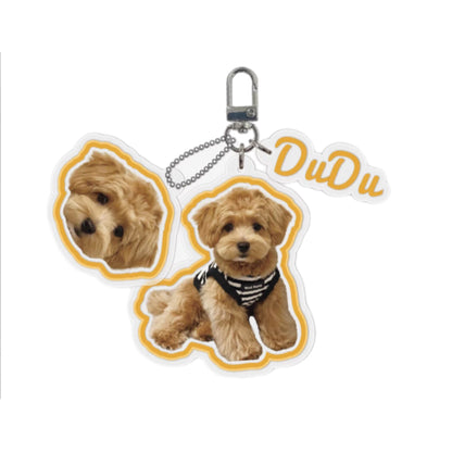Custom Designed Acrylic Pet Keychain