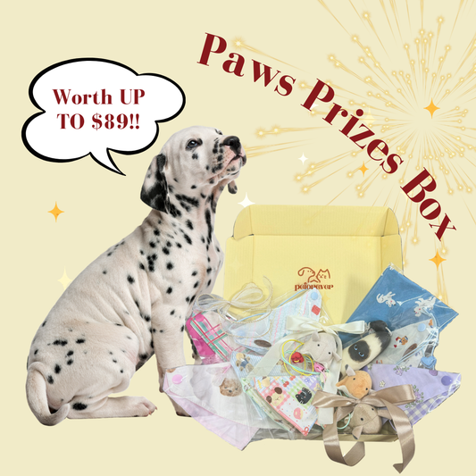 Paws Prizes Box