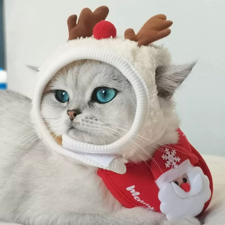 cat christmas gifts