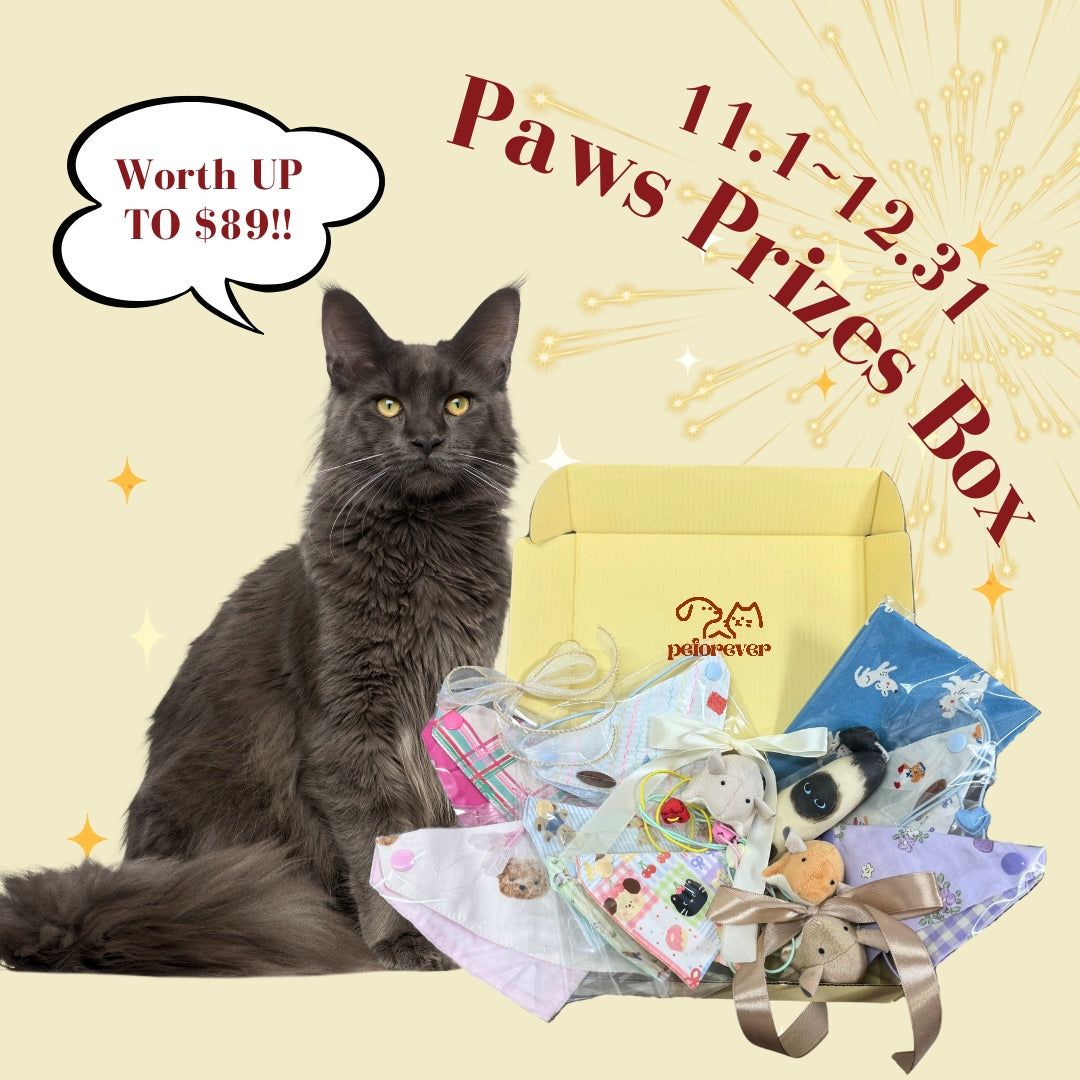 cat subscription box