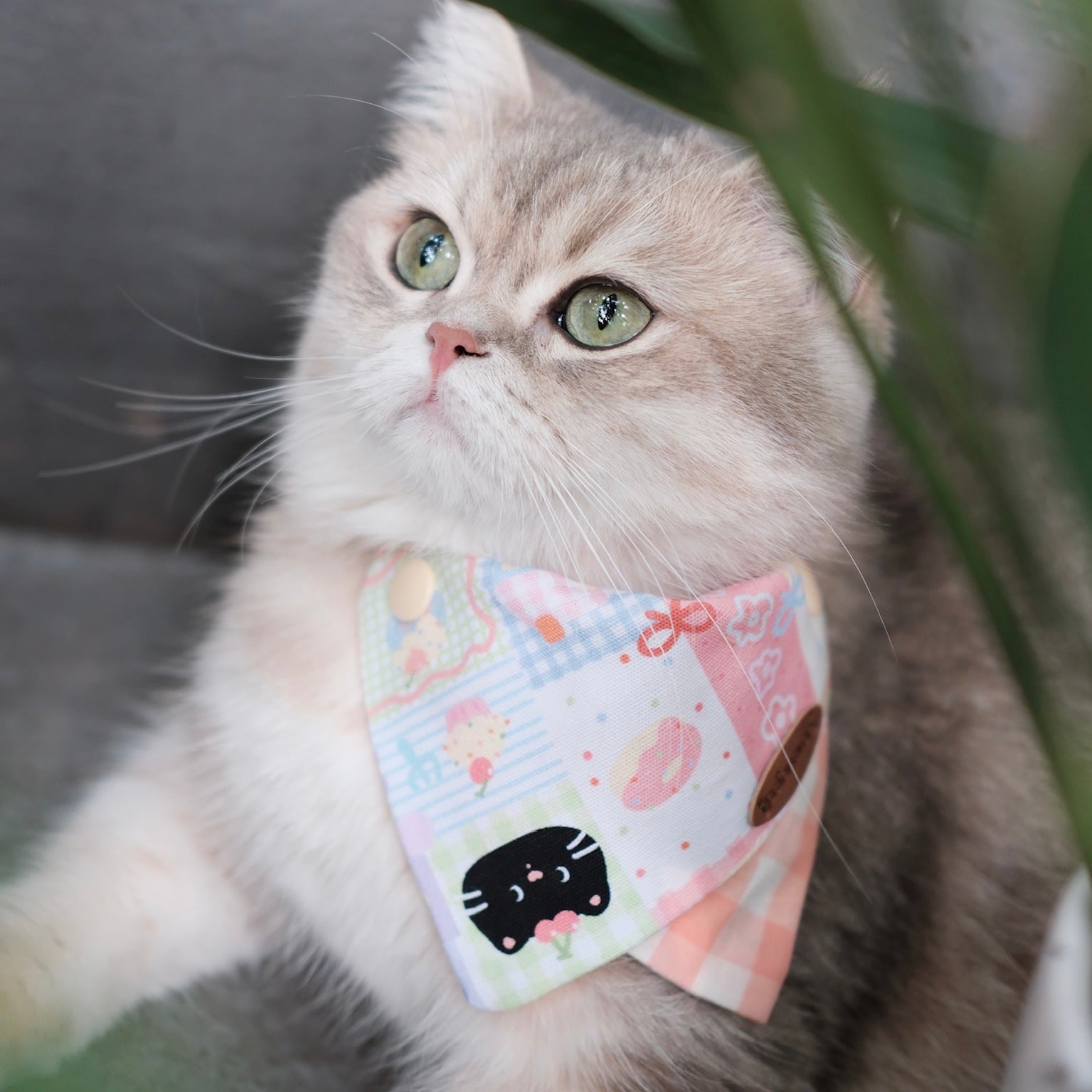 cat bandana