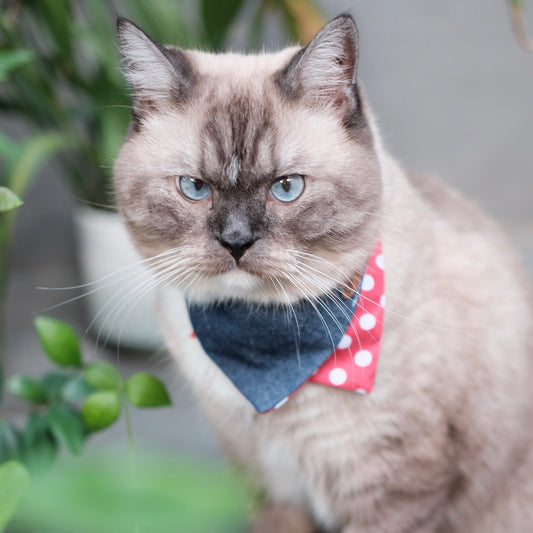 cat bandana pattern bandana handmade