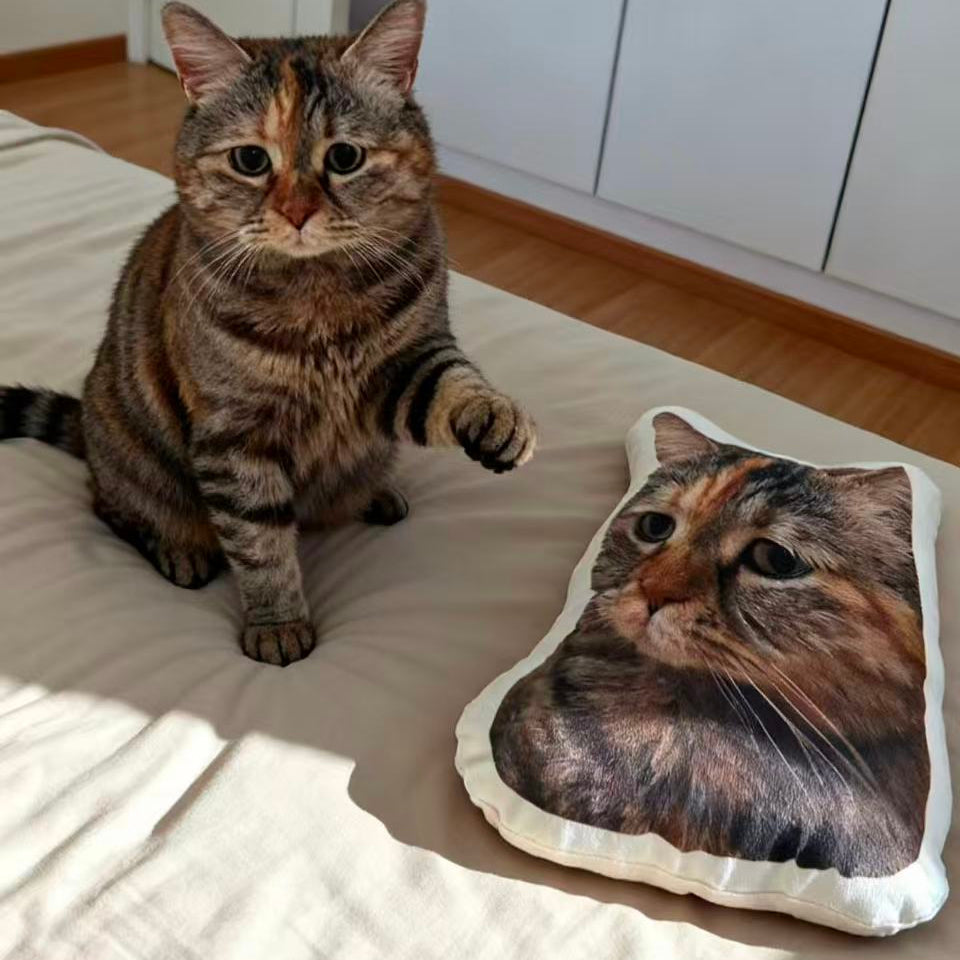 guangdang cat pillow
guangdang custom cat pillow
guangdang cat plush
guangdang cat meme
custom meme cat pillow