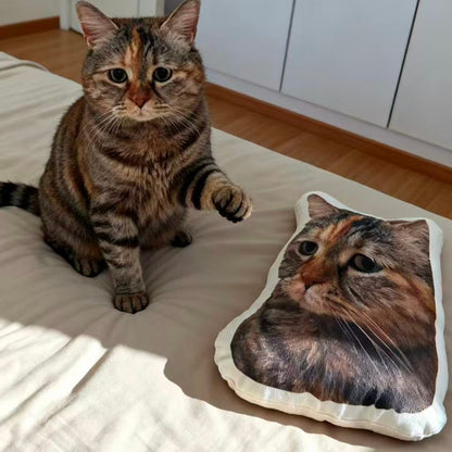 guangdang cat pillow
guangdang custom cat pillow
guangdang cat plush
guangdang cat meme
custom meme cat pillow