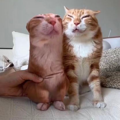 oye doudou cat pillow
oye cat custom cat pillow
oye doudou cat plush
oye doudou cat meme
custom meme cat pillow