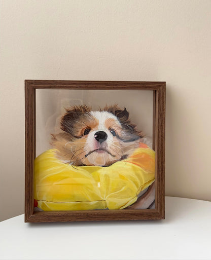 custom_pet_portraits