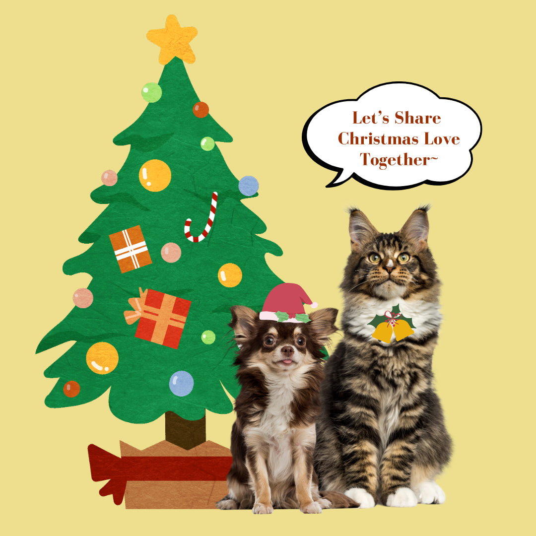 dog christmas gifts
gifts for cat lovers