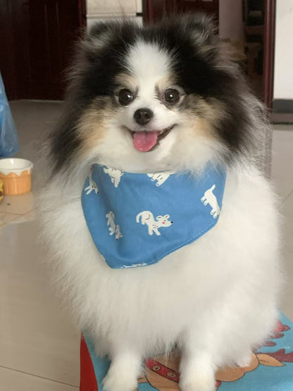 pet_bandana