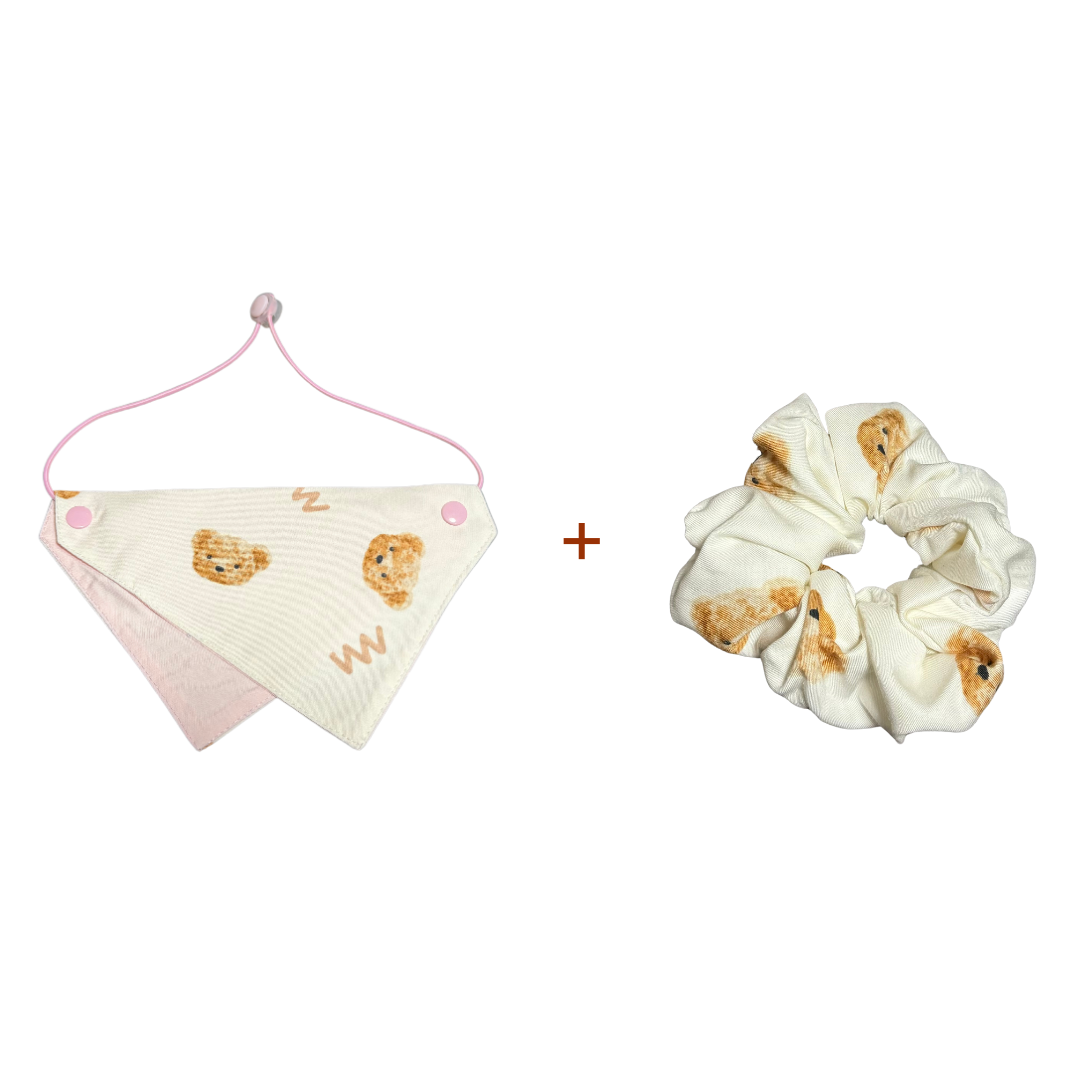 pet_bandana_set