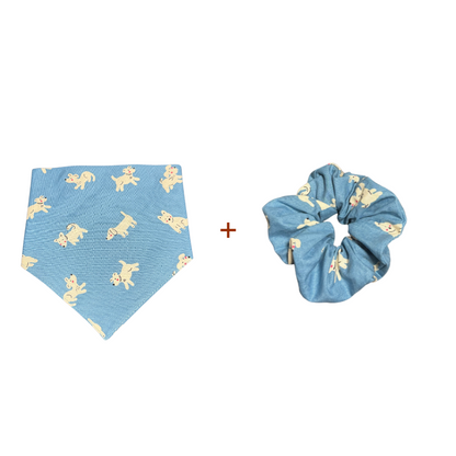 pet_bandana_set