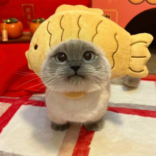 funny pet hats