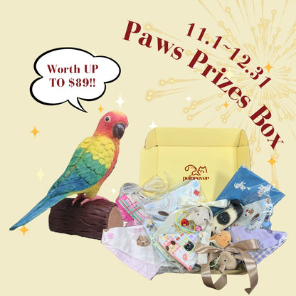 pet subscription box