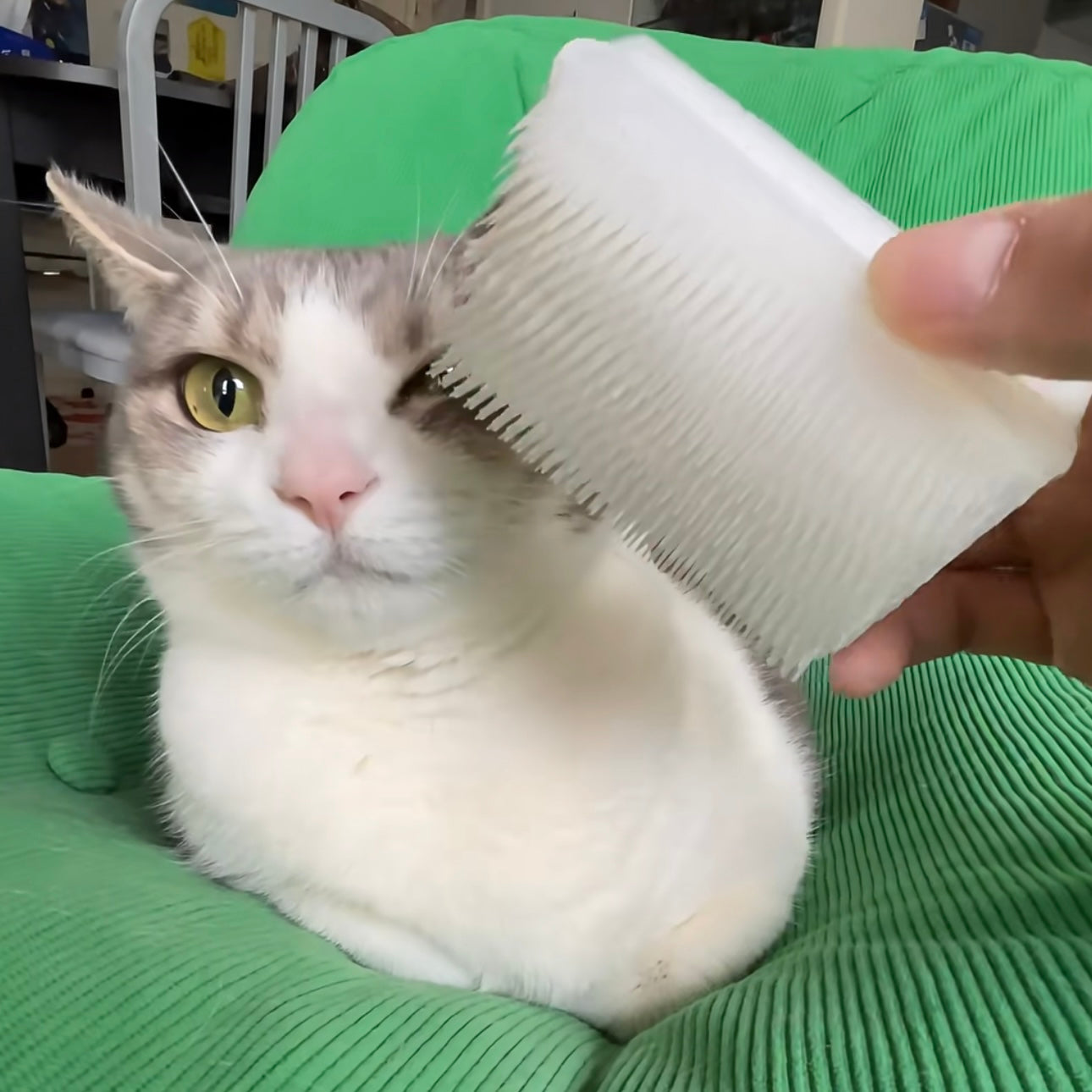 Faux Cat Tongue Massage Comb
Cat Tongue Mimic Comb
Natural Grooming Simulation
Faux Cat Tongue Technology
Hypoallergenic Silicone Tips
Non-Irritating Pet Comb
Skin-Safe Silicone Bristles